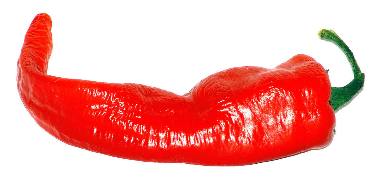The Scoville Heat Scale - Chilli Pepper List – ChilliBOM