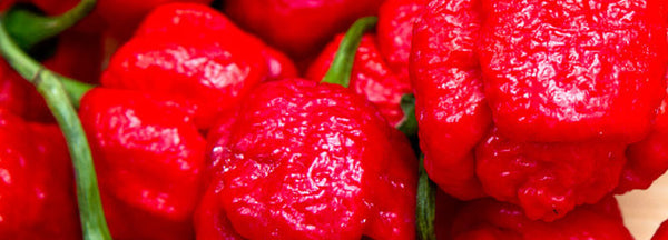 7 Pot Chilli 7 Pod Chilli Hot Sauce ChilliBOM Chillibomb Subscription Club Gifting Chilli Australia