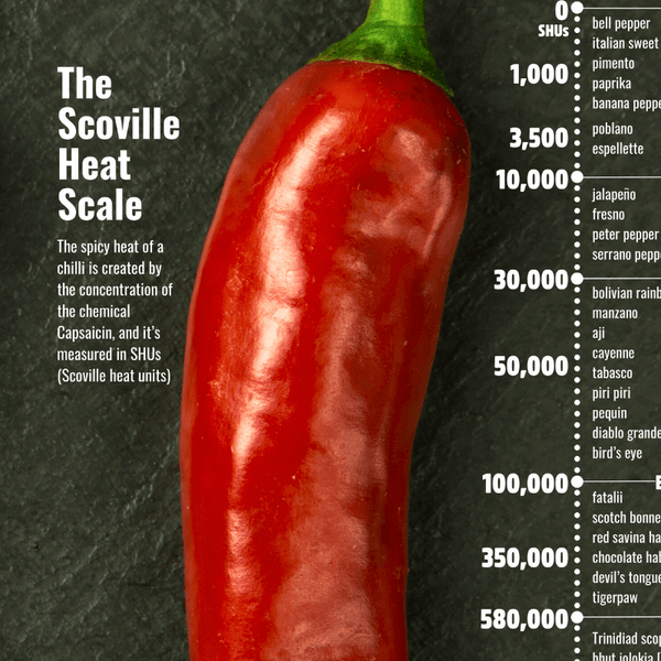 ChilliBOM Scoville Scale Pepper X Edition Poster
